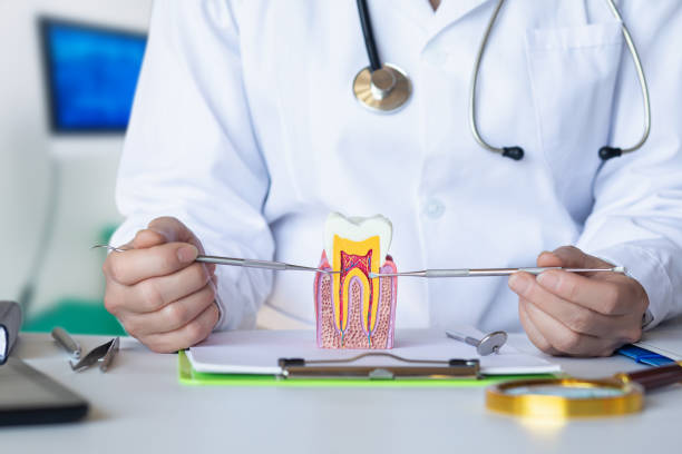 Best Broken Tooth Emergency  in Crosbyton, TX